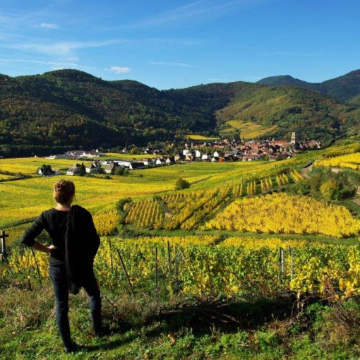 Photo de Guy Wurth : https://images.alsace/
