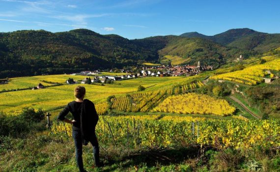 Photo de Guy Wurth : https://images.alsace/