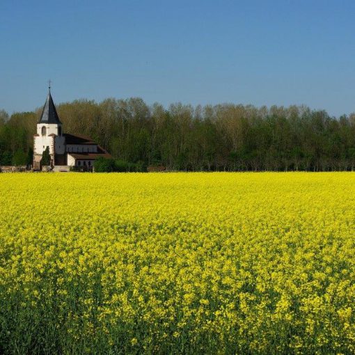 Photo de Guy Wurth : https://images.alsace/Photo de Guy Wurth : https://images.alsace/