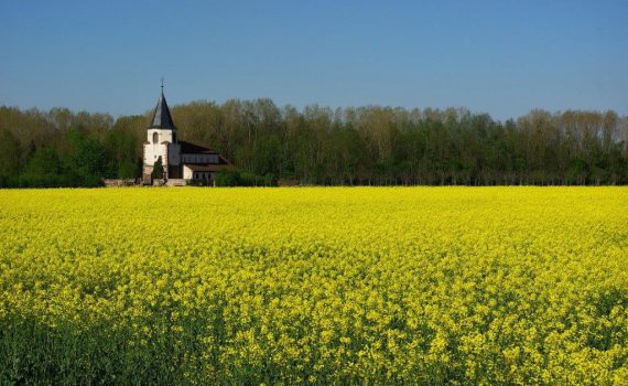 Photo de Guy Wurth : https://images.alsace/Photo de Guy Wurth : https://images.alsace/