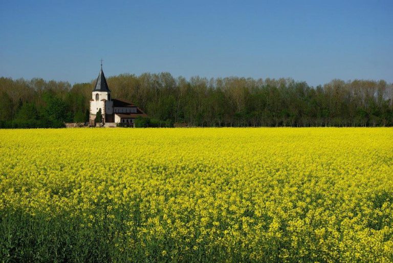 TOUTES CHOSES CONCOURENT AU BIEN DE CEUX QUI AIMENT DIEU – Espérer Toujours