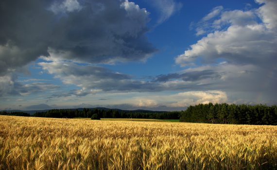 Photo de Guy Wurth : https://images.alsace/